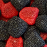 Berries Rood/Zwart