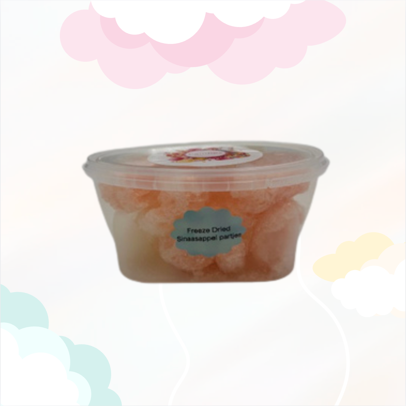 Freeze Dried Sinaasappel partjes