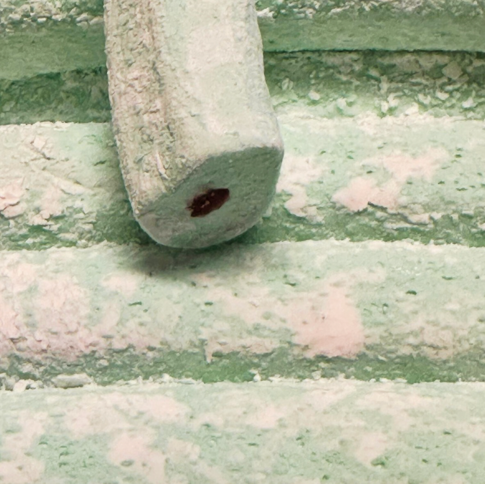 Filled Watermelon Ropes